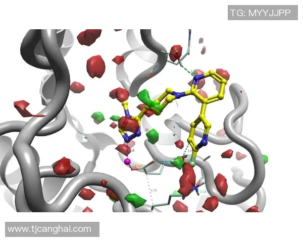 尼日利亚与乌干达对决分析预测比赛走势与结果探讨
